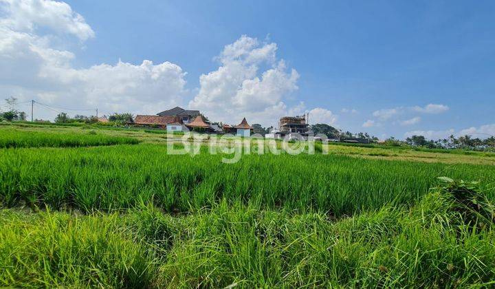 LAND ON CEMAGI BEACH, BALI 1