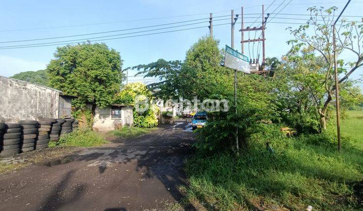 TANAH  BONUS GUDANG, RUMAH DAN KANTOR 1