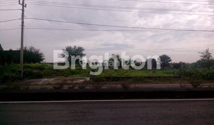 TANAH LAMONGAN BABAT HADAP JALAN RAYA SUDAH URUG SIAP BANGUN 1