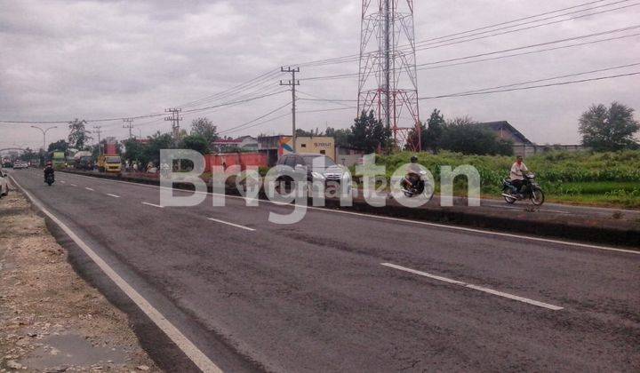 TANAH LAMONGAN BABAT HADAP JALAN RAYA SUDAH URUG SIAP BANGUN 2