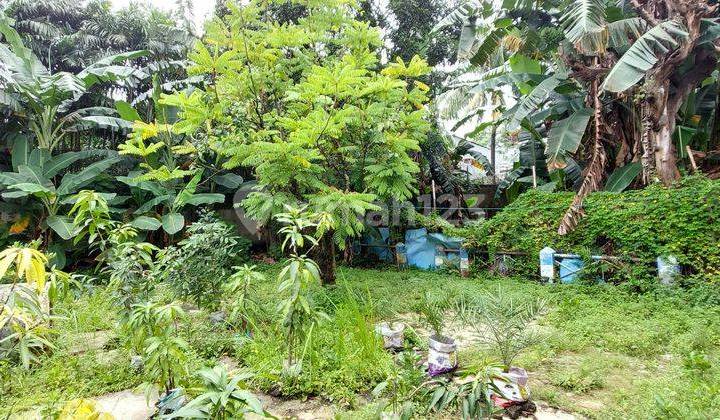 Tanah luas di cipete 