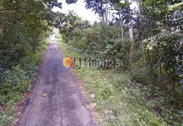 Land For SaleLease at Melaya Jembrana Close to Melaya Beach 2