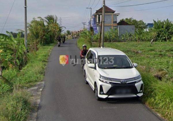 Land For Lease at Tabanan Area Close to Bypass Tanah Lot Road 2