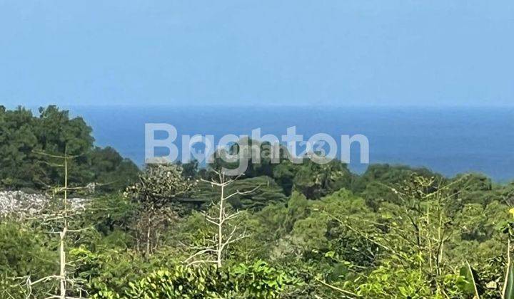 LAHAN UNBLOCK OCEAN VIEW DI KAWASAN VILLA BADUNG, BALI 2