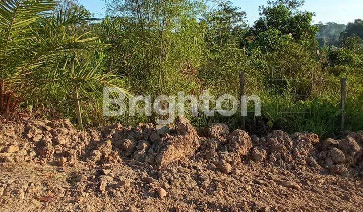 tanah kavling dekat sekolah negeri ditengah kota 1