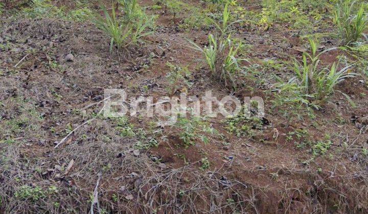 Tanah siap bangun di Sinanggul Sekacer Jepara 1