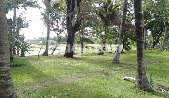 TANAH OCEAN VIEW & RIVER FRONT IN PANTAI KAYUPUTIH, BERAWA BALI 1