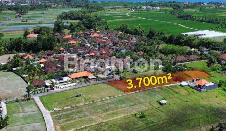 LAHAN DI KAWASAN PANTAI NYANYI, TABANAN BALI 2