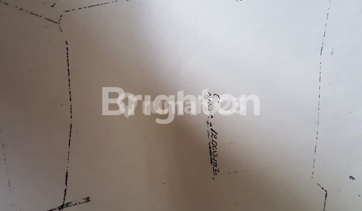 Kavling lokasi strategis siap bangun 1,2 Hektar di Desa Mekarwangi Cariu Bogor Timur