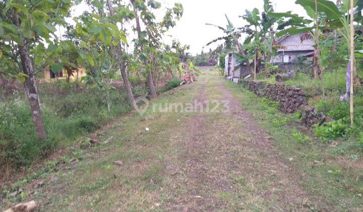 Tanah Murah Di Pengasih Kulonprogo Yogyakarta 2