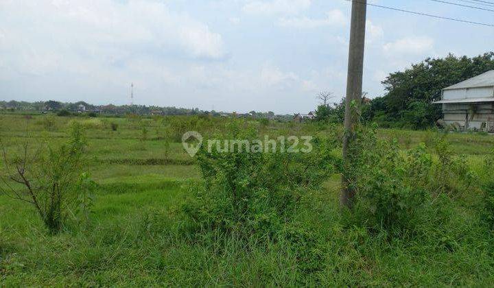 Tanah Kering Zona Industri SHM 7.545 m² di Sidoharjo Sragen 2