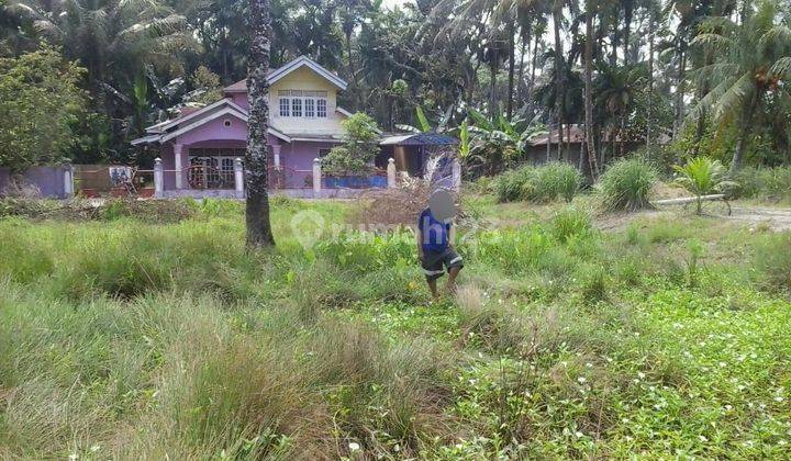 Kavling Tanah Dekat BIM Di Daerah Padang Pariaman Sumatra 2