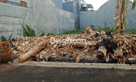 Tanah Kavling Puri lidah kulon 1