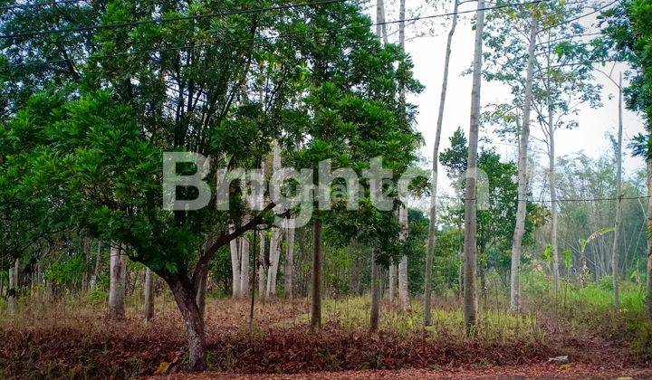 Murah  Tanah Strategis Bukit Panderman Hill Kota Batu Malang 1