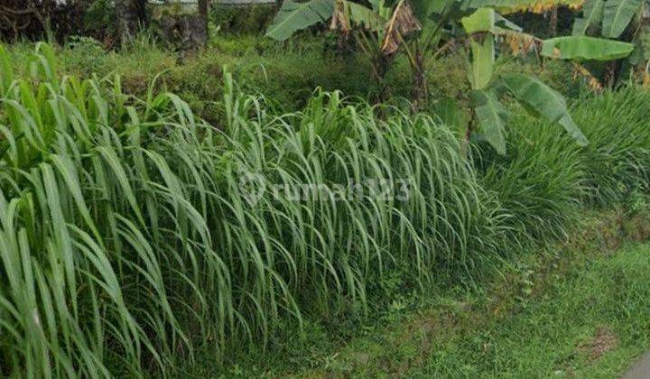 Tanah Cocok Untuk Usaha Dekat Kampus Unnes Gunung Pati Semarang 1