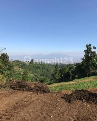 Tanah Asri di Kawasan Sersan Bajuri Dago Bandung
