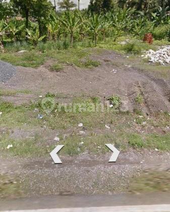 Pangandaran, West Java Pangandaran, West Java