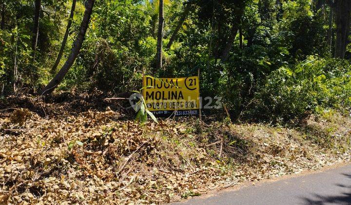 Tanah Cocok untuk gudang, cluster, perkebunan Caracas Cilimus 1