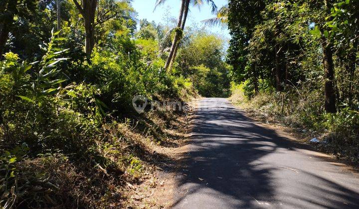 Tanah Cocok untuk gudang, cluster, perkebunan Caracas Cilimus 2