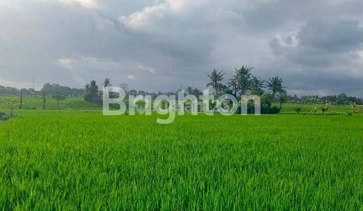 TANAH DI KAWASAN VILLA PANTAI NYANYI, TABANAN BALI 2