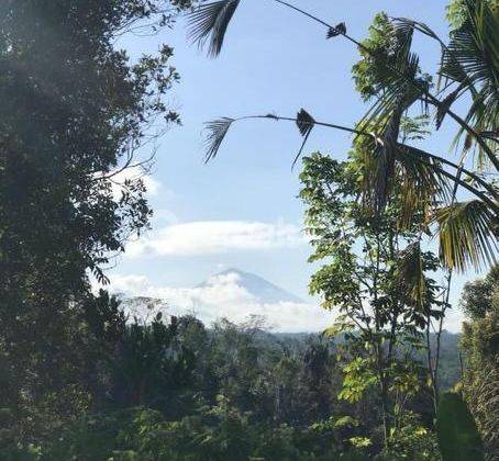 tanah view sawah hijau, di area Payangan, Ubud Lokasi strategis kawasan wisata Ubud, view sa 2