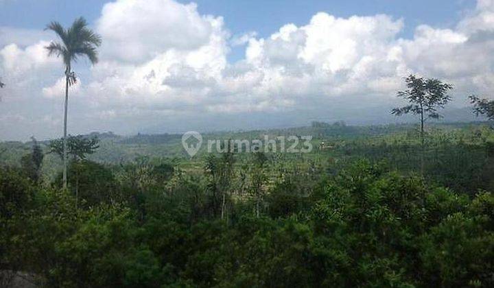 tanah murah view perbukitan di area Langgahan, Ubud Lokasi strategis kawasan wisata Ubud. P 1