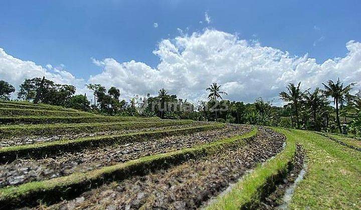 Land For !! Tanah Kavling Ekslusive Harga Ekonomis View Sawah di Pantai Tanah Lot, Kediri, Tab 2