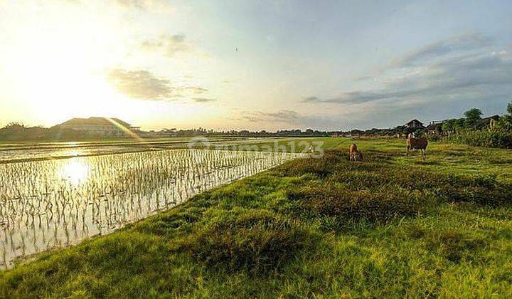 tanah kavling view sawah hijau asri, di Nyitdah, Tabanan dekat pantai Kedungu. Prospek cepa 2