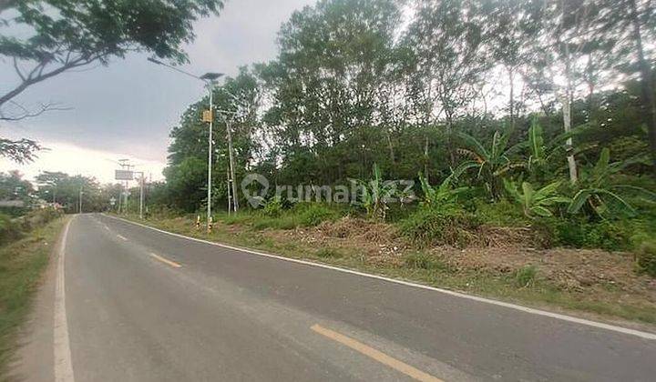 Tanah Komersial Jln Tanjung Lesung Cigeulis, Pandeglang, Banten 2