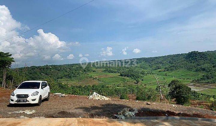 Tanah Kebun Untuk Villa &amp; Berkebun Gratis Pohon Durian 2