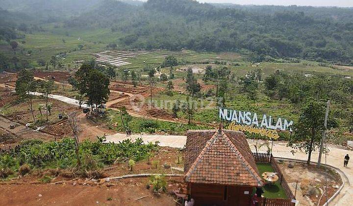 Tanah Siap Bangun Gratis Pohon Durian Jalan Di Cor Masuk Listrik 2