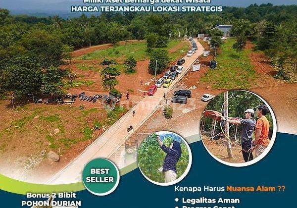 Tanah Murah Siap Bangun Jalan Cor Masuk Listrik, Asri, View Indah 1