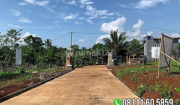 Cepat Tanah Murah Subur Jalan sudah Cor View Sawah &amp; Gunung 1