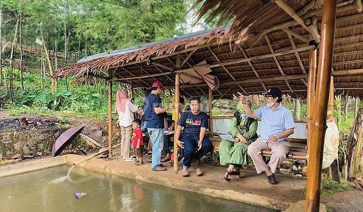 Tanah Di Murah Dekat Jalan Propinsi, jalan sudah cor dan masuk listik 2