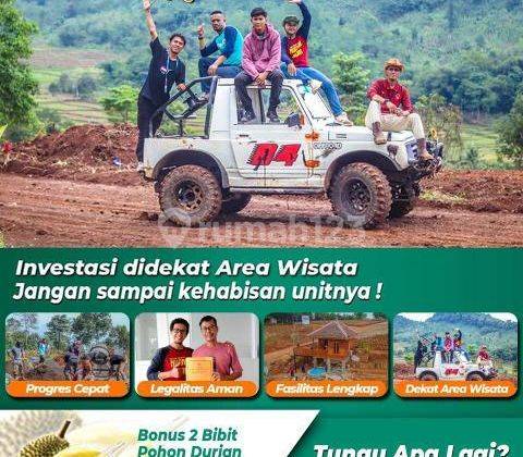 Kavling Nuansa Alam Agroeduwisata Siap Bangun Villa Bonus Pohon 2