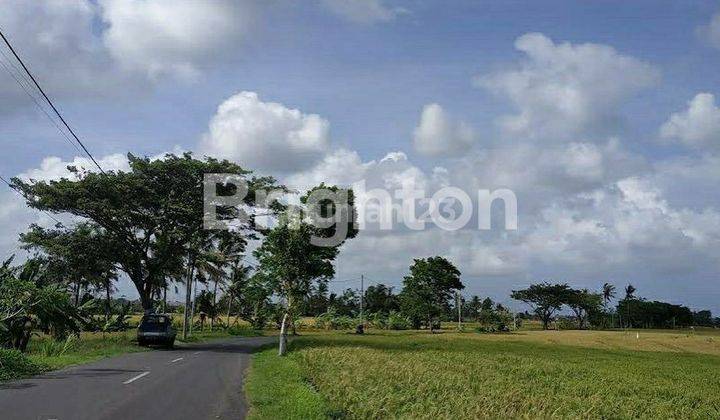 TANAH PLOT KECIL DEKAT PANTAI MUNGGU, PERERENAN BALI 2