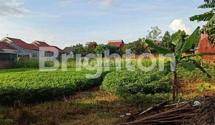 TANAH KOSONG DEKAT UNDIP 1