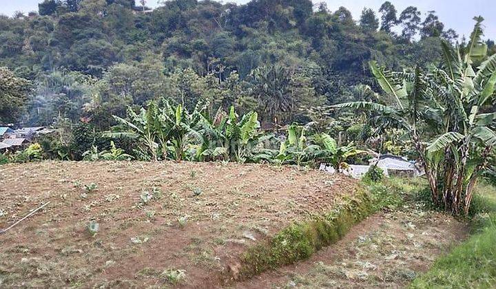 Tanah 15.000 Meter Di Sersan Bajuri - Setiabudi Bandung Utara 2