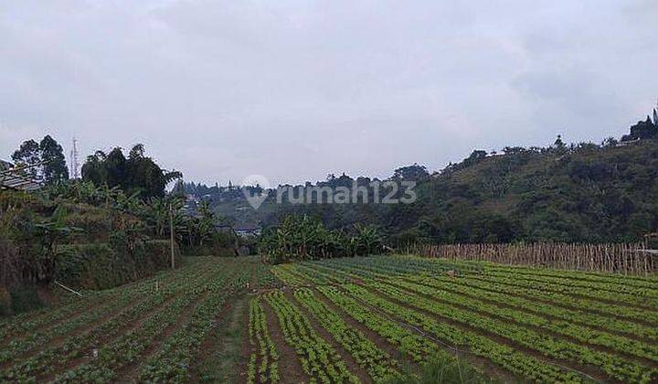 Tanah 15.000 Meter Di Sersan Bajuri - Setiabudi Bandung Utara 1