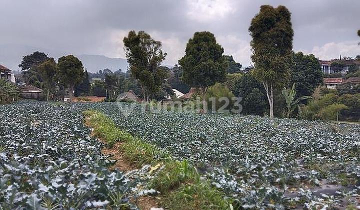 Tanah 17.000 meter di Jalan Kolonel Masturi Lembang, harga 1,5 jt/m