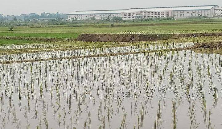 Jual Tanah 3,5 hektar di pagaden Subang dkt tol Cilameri, cocok untuk pabrik dan gudang 2