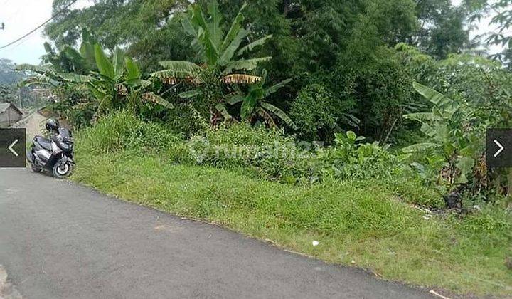 Tanah 9000 Meter Di Jl. Cagak Subang Utk Perumahan Atau Berkebun 1