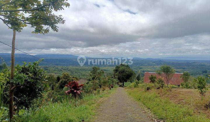 Hot List of Land for Sale in Plaga Petang Badung Location 1