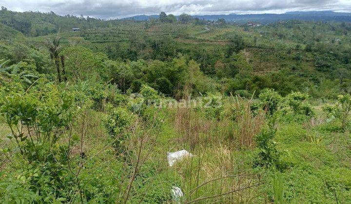 Hot List of Land for Sale in Plaga Petang Badung Location 2