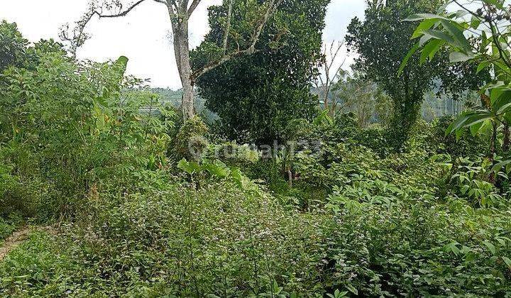 Hot List of Land for Sale with Bangkung Bridge View, Plaga Park and Puncak Mangu Temple, Location Sidan, Petang, Badung 2