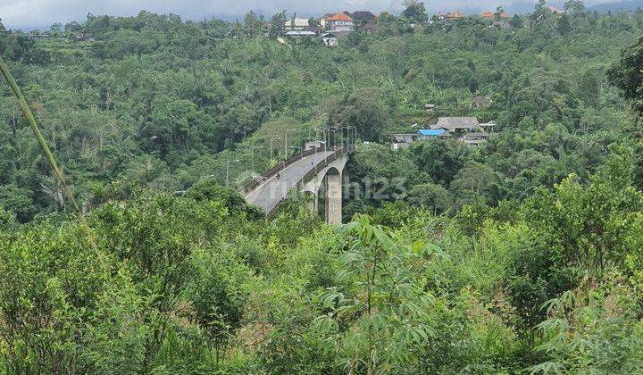 Hot List of Land for Sale with Bangkung Bridge View, Plaga Park and Puncak Mangu Temple, Location Sidan, Petang, Badung 1