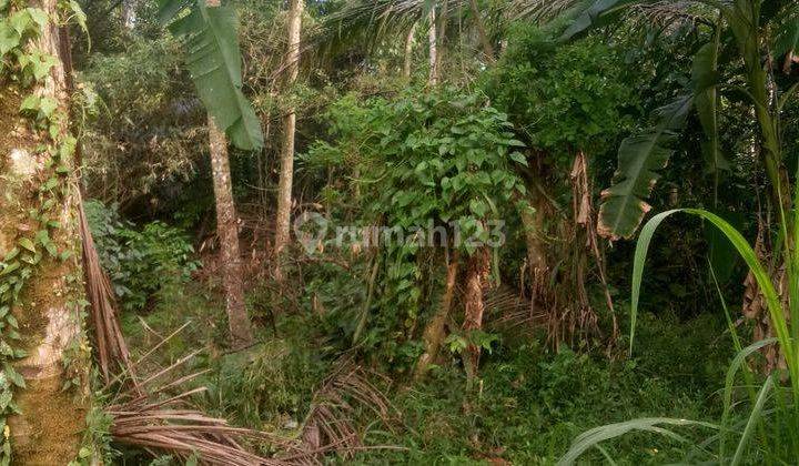 Hot List Di Jual Tanah Lokasi Kelusa Gianyar 2