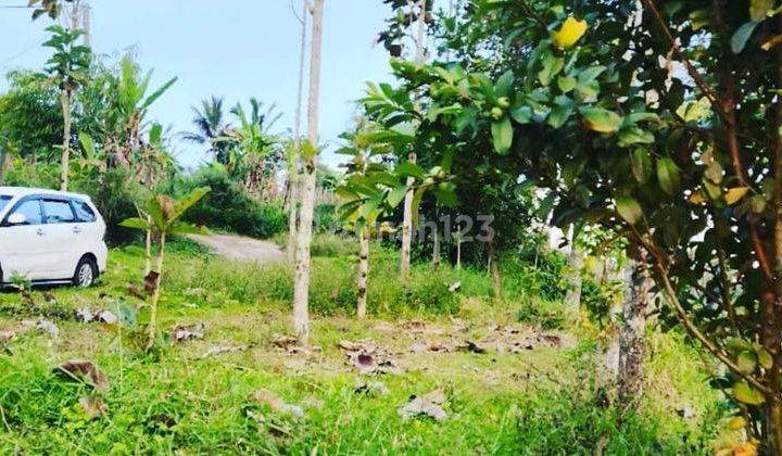 Hot List Di Jual Tanah View Bukit, Gunung, Lokasi Buturiti Bedugul Bali 1