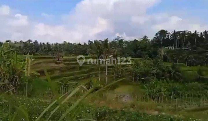 Hot List Di Jual Tanah View Sawah Dan Los Sungai Ayung Lokasi Singakerta Ubud 1