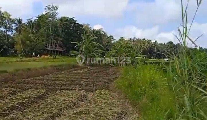 Hot List Di Jual Tanah View Sawah Dan Los Sungai Ayung Lokasi Singakerta Ubud 2